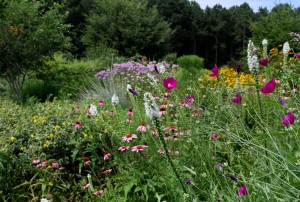 Cover photo for Pollinator Garden Tour Thursday July 7