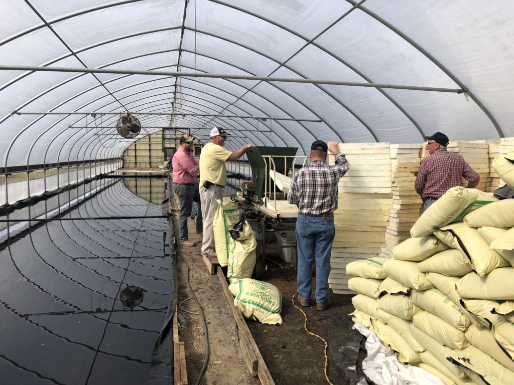 tobacco farmers