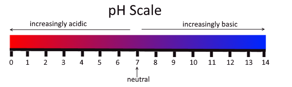 red to blue scale showing a range from 0 to 14. 0 being acidic and 14 basic. 7 in the middle is indicated as neutral