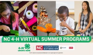 Cover photo for 4-H Virtual Summer