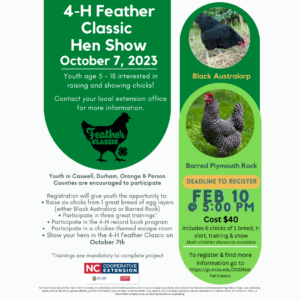 Cover photo for 4-H Feather Classic Hen Show
