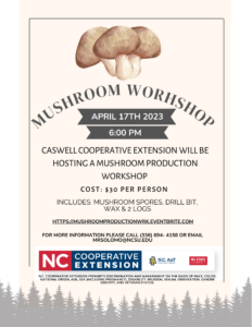 mushroom workshop