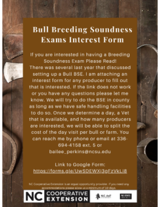 Cover photo for Bull Breeding Soundness Exam Interest