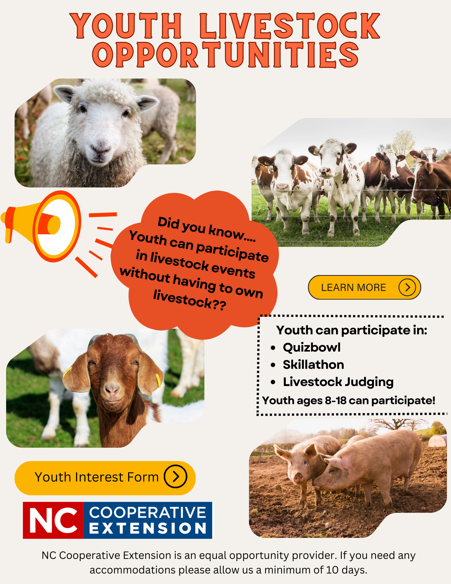  Youth Livestock Opportunities poster