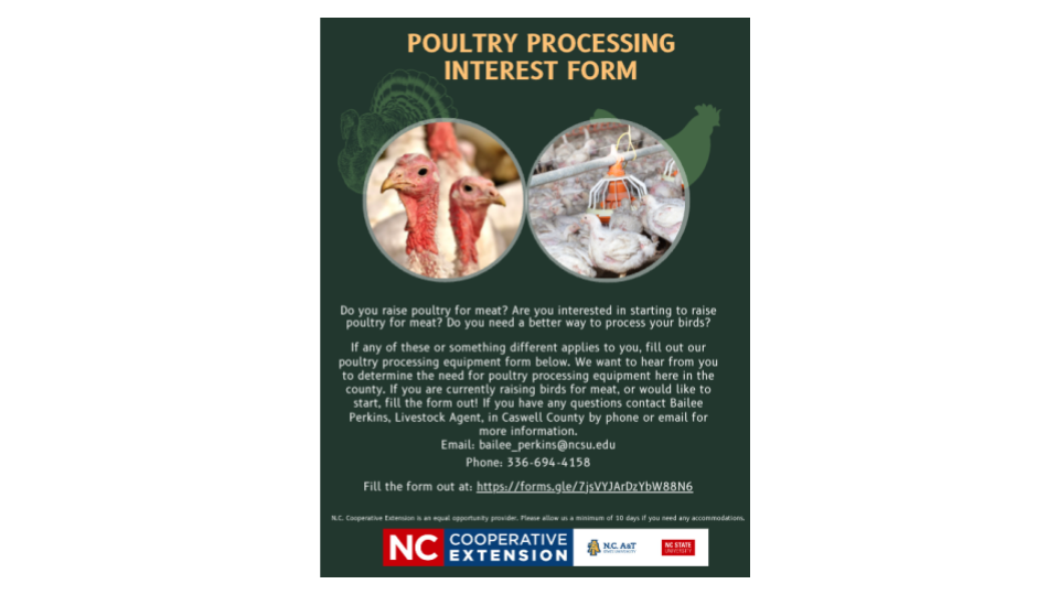 Poultry Processing 