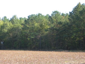 Cover photo for Virginia-North Carolina Woods & Wildlife Conference