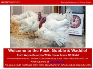 picture of presidentially pardoned turkeys